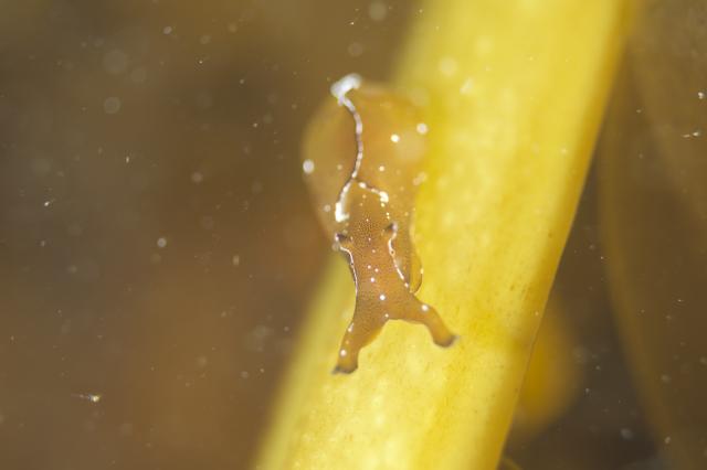 みんなで城ヶ島へ
