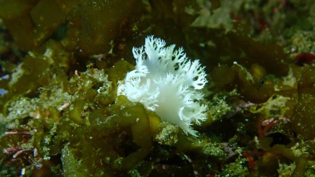 みんなで城ヶ島へ