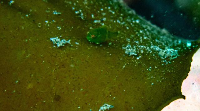 みんなで城ヶ島へ