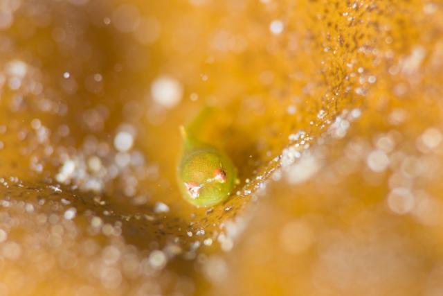 みんなで城ヶ島へ