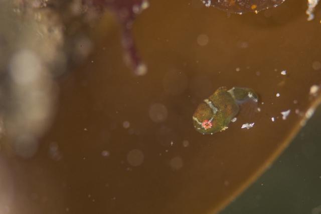 みんなで城ヶ島へ