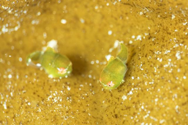 みんなで城ヶ島へ