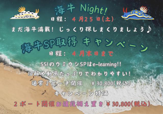 久しぶりのビーチダイビングでした