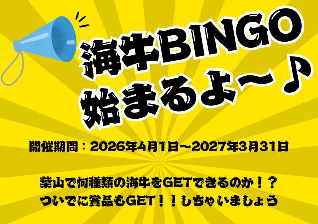 久しぶりのビーチダイビングでした
