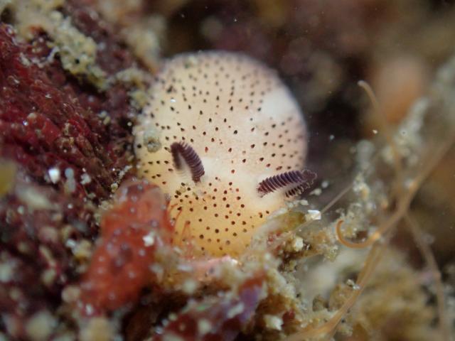 今日まで落ち着いた海況