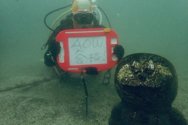 江の浦へ遠征してきました