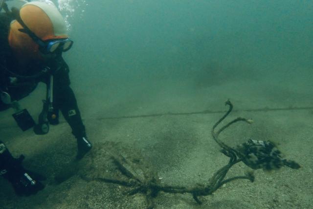 江の浦へ遠征してきました