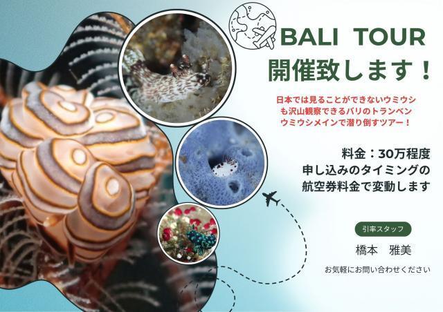 今日は城ヶ島へ！