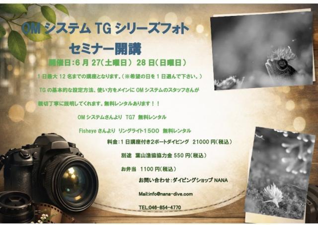 藻場再生活動ご報告