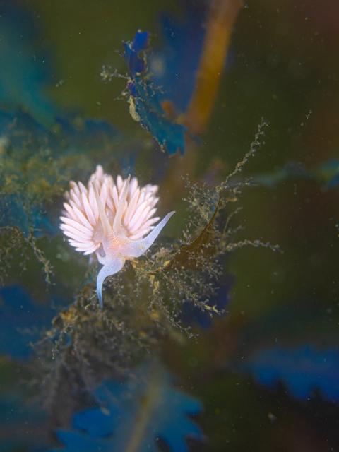 久々の葉山‼️