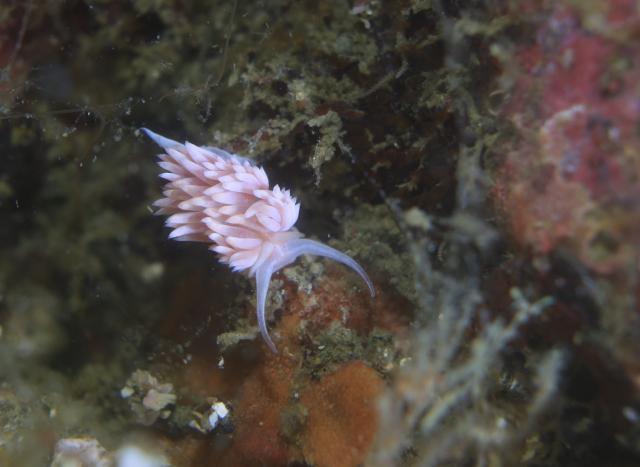 下へ行くほど視界不良・・・