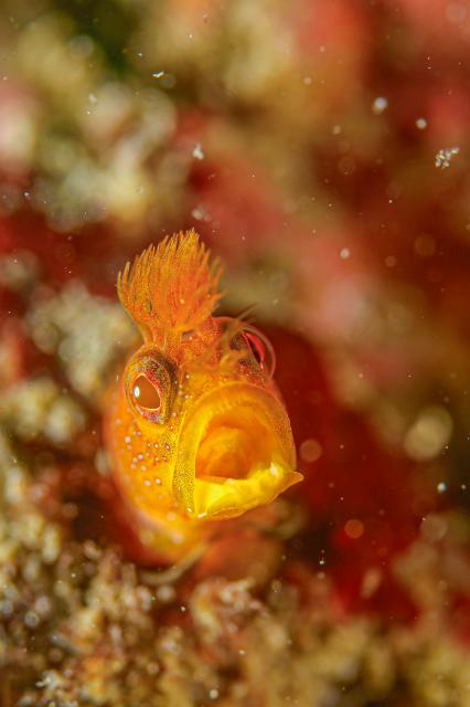 🌊良い感じ〜！！