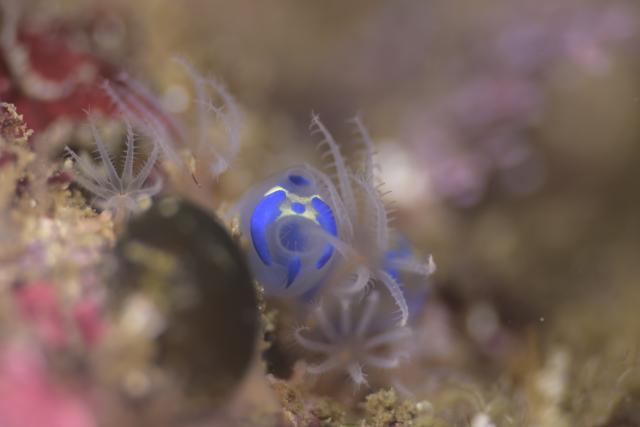 三浦の海！！ガッツリ堪能してきました