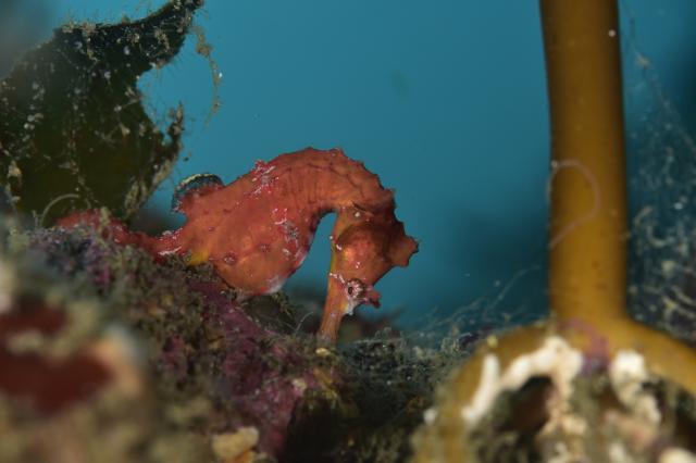三浦の海！！ガッツリ堪能してきました