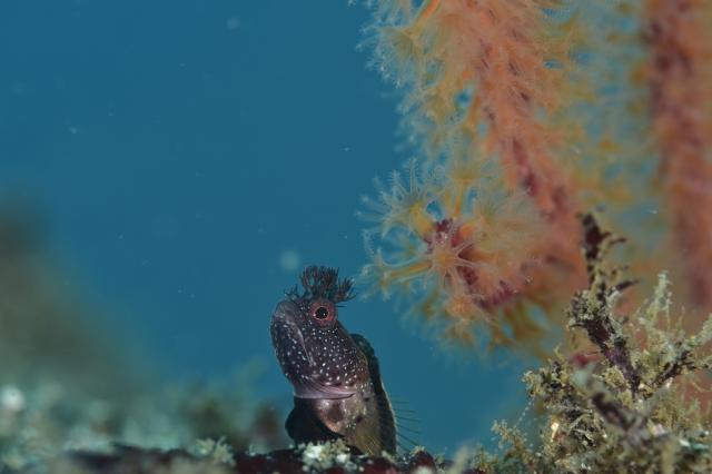 三浦の海！！ガッツリ堪能してきました