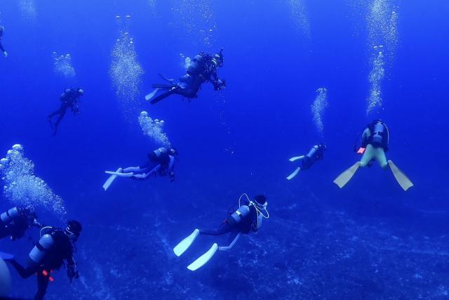 サバイバルな三浦、