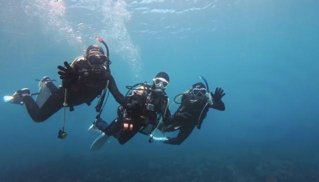 連休半ば、江之浦へ