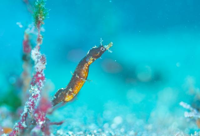 連休半ば、江之浦へ