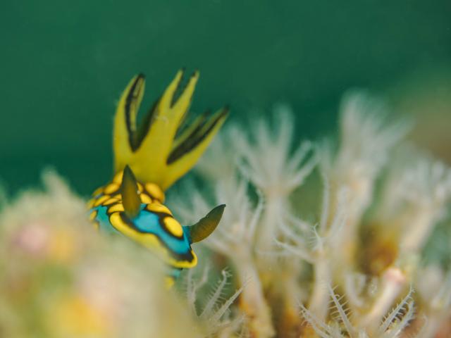 穏やかな海、続いています。