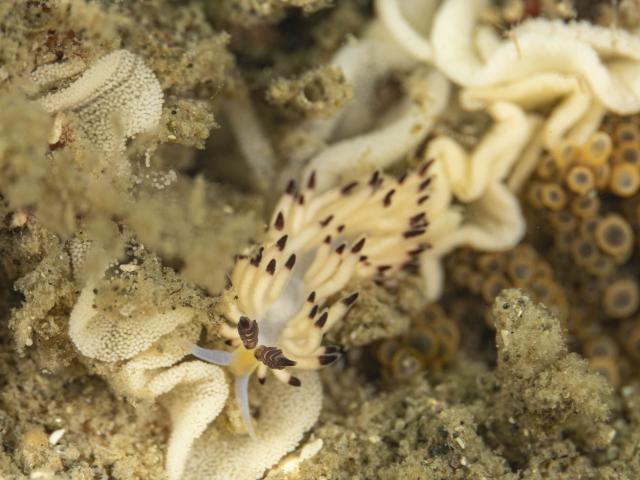 穏やかな海、続いています。