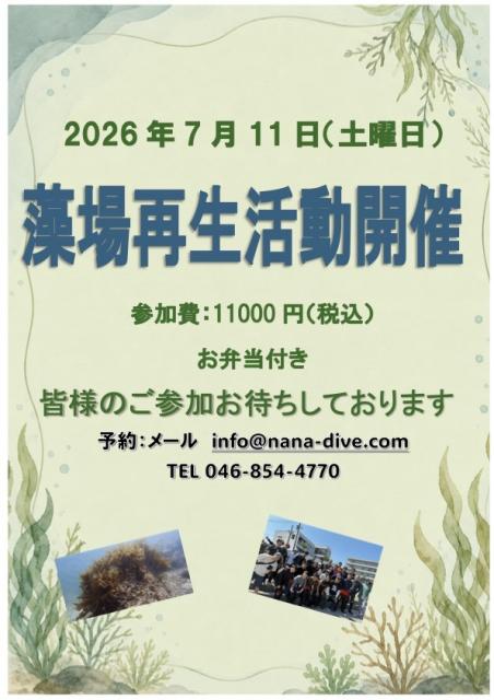 急にすこぶる綺麗な海でした！！