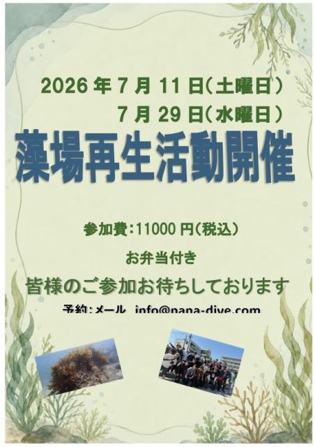葉山にムギワラエビ参上！