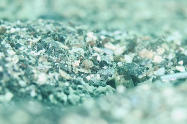 800本おめでとうございます！＆女川ツアー