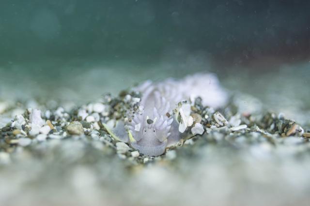ビンゴ更新！