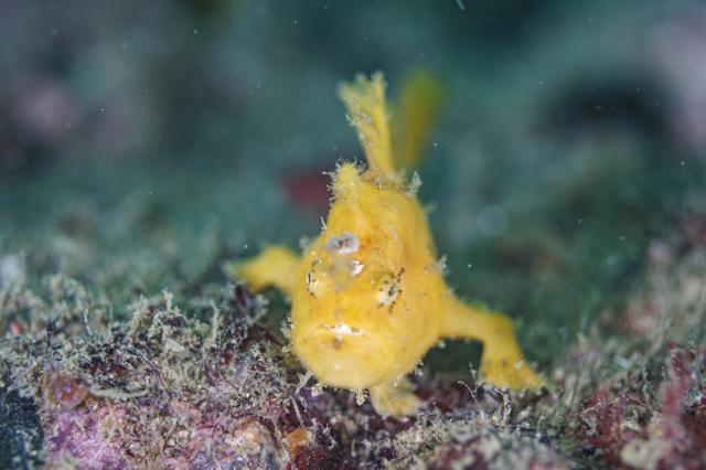 ビンゴ更新！