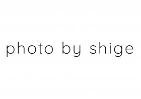 https://shigenoyuta.com