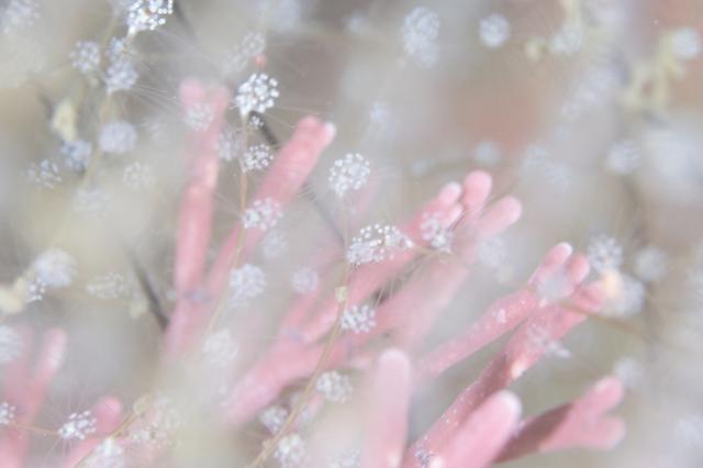 梅雨真っ只中ですが、お客様大勢いらしてくださいました