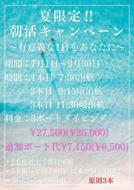 卵だらけ！