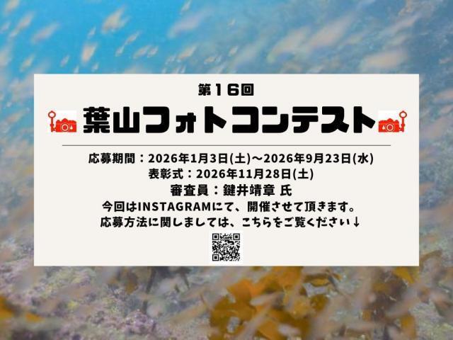 卵だらけ！