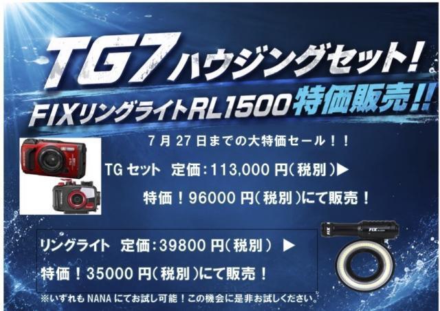 卵だらけ！