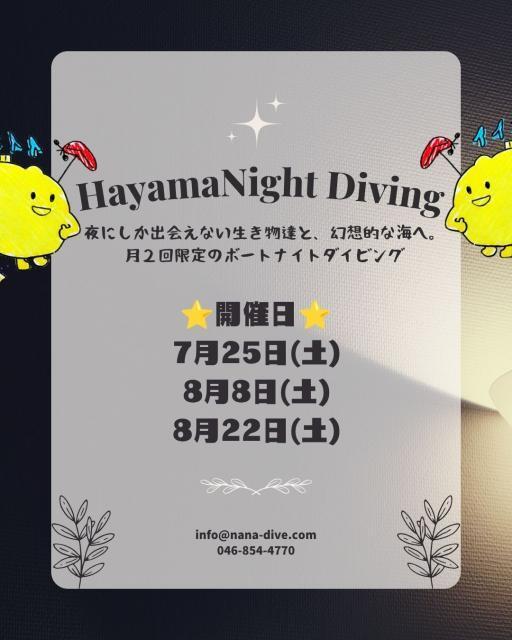 季節来遊魚続々