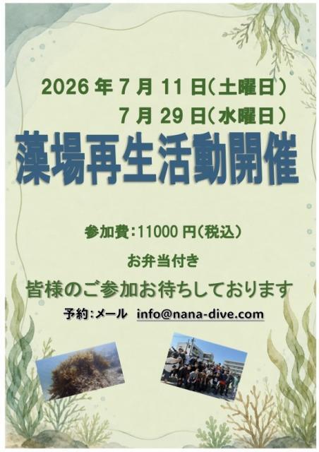 季節来遊魚続々