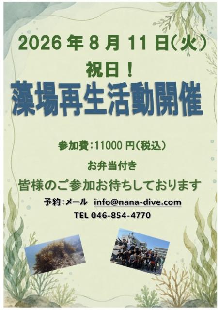 平日！！藻場再生活動開催！