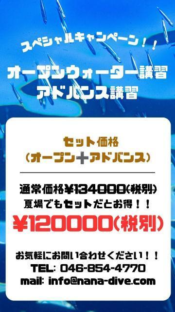 平日！！藻場再生活動開催！