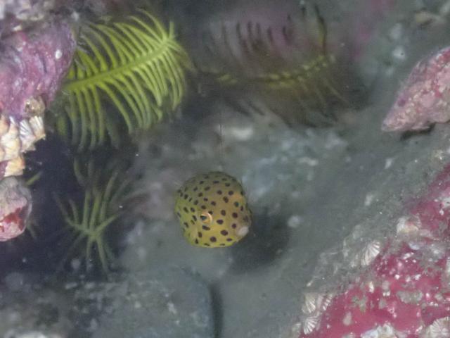夏真っ盛り