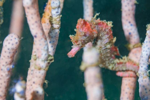急遽三浦へ