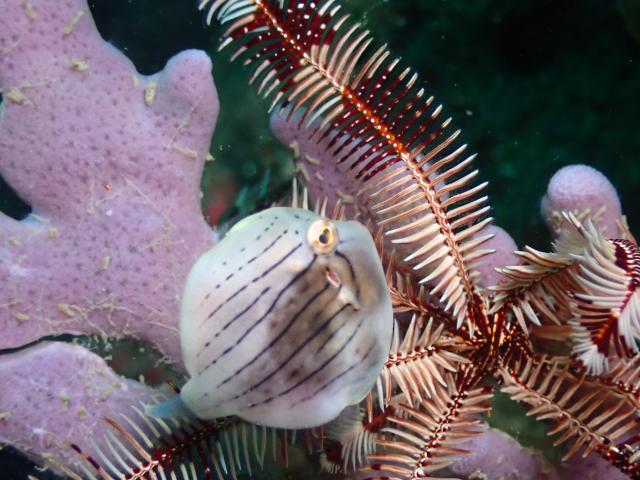 可愛い生物いっぱい☺️