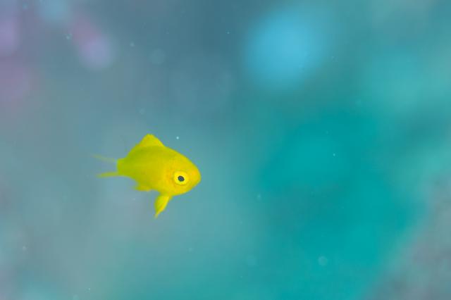 可愛い生物いっぱい☺️