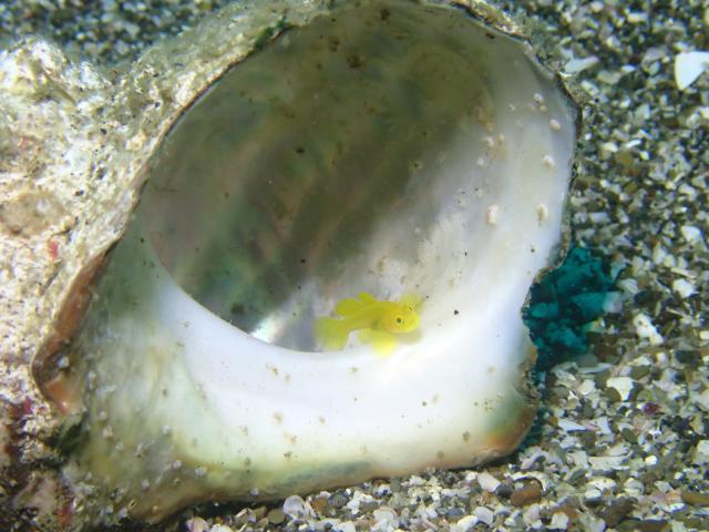 可愛い生物いっぱい☺️