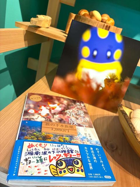 城ヶ島へ🏝️