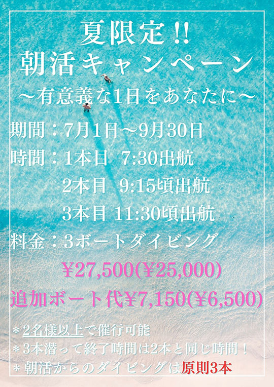 朝活ダイビング